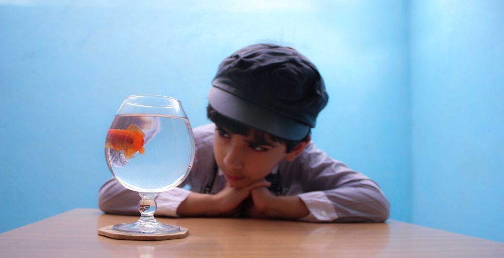 عکاسی نوروز در خانه